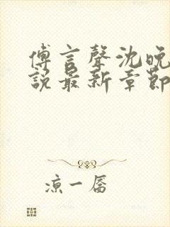 傅言声沈晚柔小说最新章节免费阅读