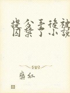 提分手后被男友囚禁了小说封面