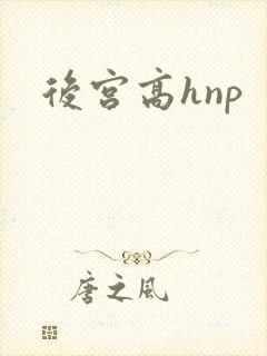 后宫高hnp封面