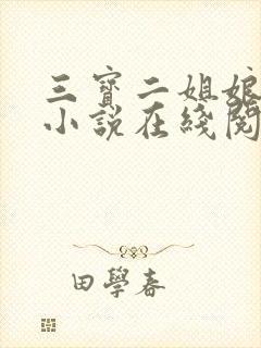 三宝二姐娘孽缘小说在线阅读