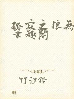 孤寂之狼无删减笔趣阁封面