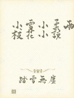 小雪小柔两个大校花小说