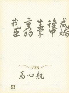 我重生后成了权臣的掌中娇