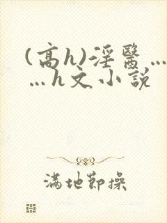 (高h)淫医……h文小说封面