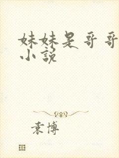 妹妹是哥哥的 小说