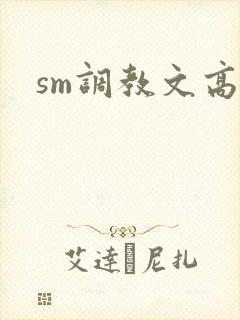 sm调教文高h