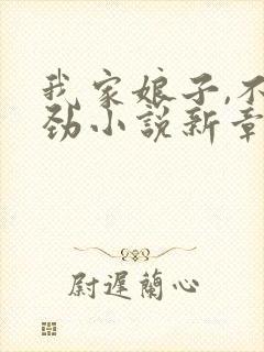 我家娘子,不对劲小说新章节列表