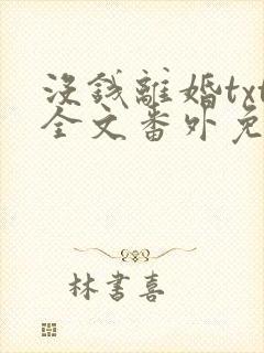 没钱离婚txt全文番外免费封面