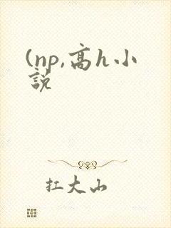 (np,高h小说