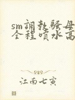 sm调教骚母狗全程喷水高潮