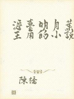 澹台明月叶玄为主角的小说