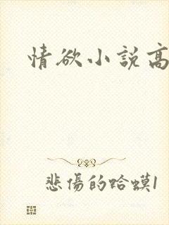 情欲小说高潮封面