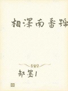 相泽南番号全集封面