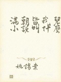 满朝皆我儿原著小说叫什么名字