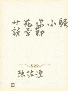 艹死你小骚货小说章节封面