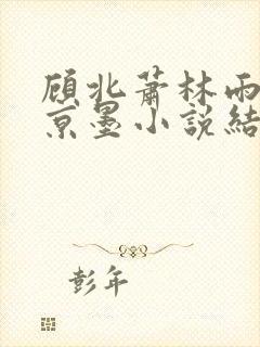 顾北萧林雨菲谢京墨小说结局