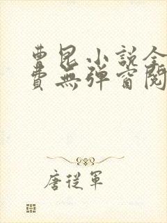 曹昆小说全文免费无弹窗阅读封面