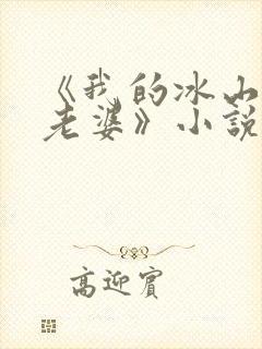 《我的冰山总裁老婆》小说