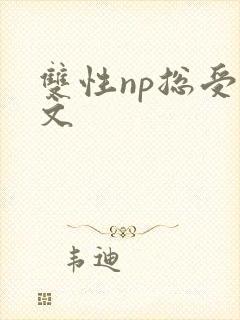 双性np总受v文