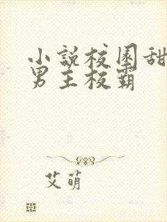 小说校园甜宠文男主校霸