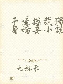 千亿总裁独宠替身娇妻小说版