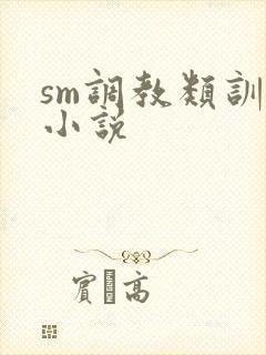 sm调教类训诫小说