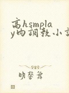 高hsmplay肉调教小说
