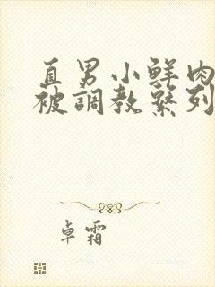 直男小鲜肉小陈被调教系列封面