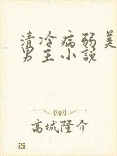 清冷病弱美人双男主小说