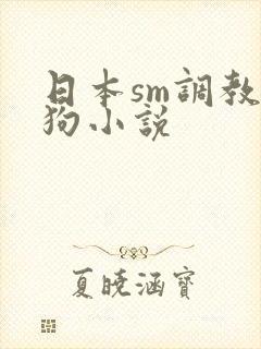 日本sm调教母狗小说封面