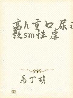 高h重口尿道调教sm性虐封面