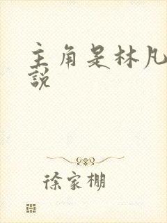 主角是林凡的小说