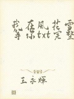 我在风花雪月里等你txt完整版