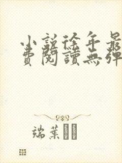 小说徐年最新免费阅读无弹窗全文