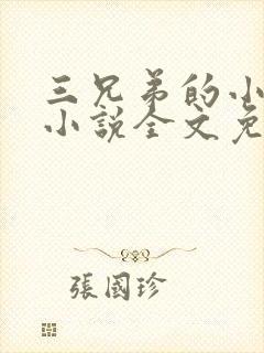 三兄弟的小媳妇小说全文免费阅读