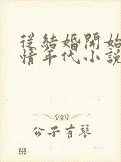 从结婚开始的爱情年代小说