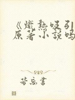 《炽热吸引》有原著小说吗