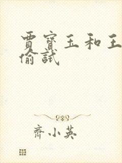 贾宝玉和王夫人偷试封面