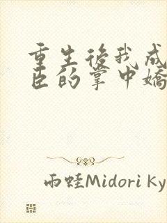 重生后我成了权臣的掌中娇类似小说