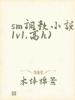 sm调教小说(1v1,高h)封面