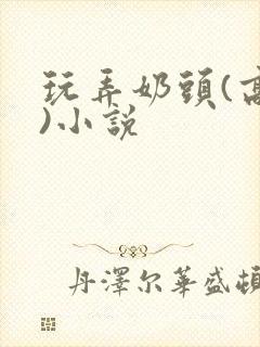 玩弄奶头(高h)小说