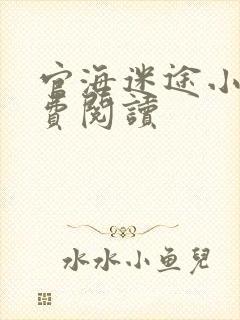 官海迷途小说免费阅读