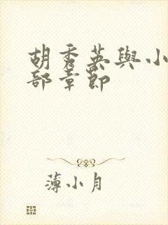 胡秀英与小雷全部章节