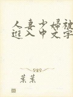 人妻少妇被猛烈进入中文字幕