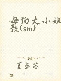 母狗大小姐的调教(sm)
