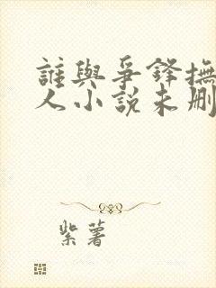 谁与争锋抚琴的人小说未删版下载