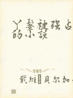 丫鬟被强占蹂躏的小说封面