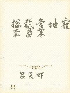 总裁爹地宠上天季枭寒