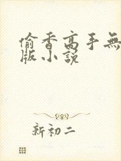 偷香高手无删减版小说