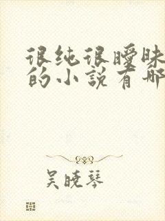 很纯很暧昧类似的小说有哪些